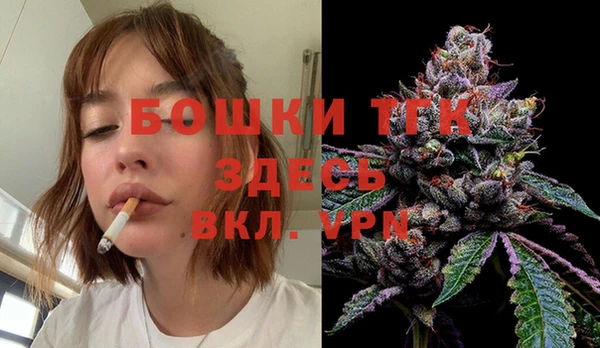 сатива Армянск