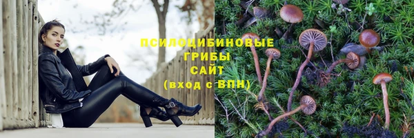 кокаин премиум Алзамай
