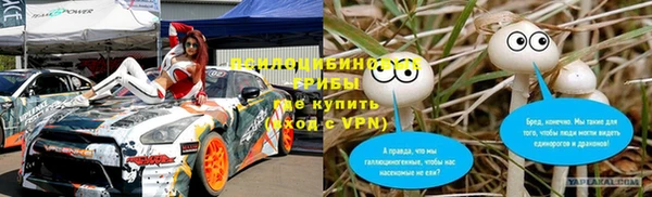 сатива Армянск