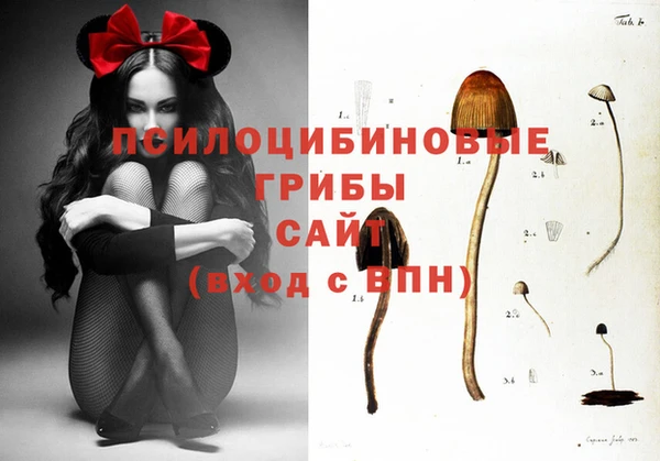 сатива Алексин